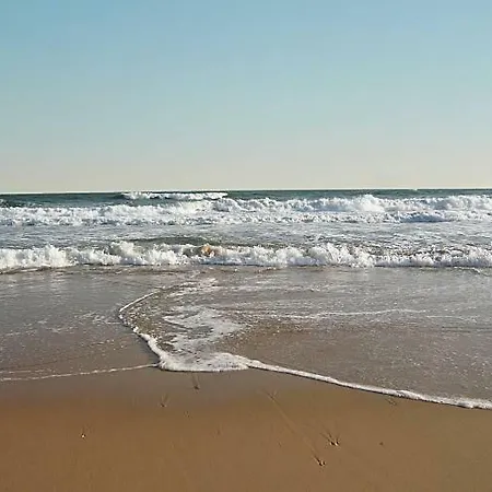 Alcatruz Seaside Village *